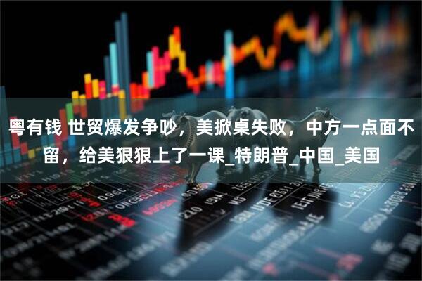 粤有钱 世贸爆发争吵，美掀桌失败，中方一点面不留，给美狠狠上了一课_特朗普_中国_美国
