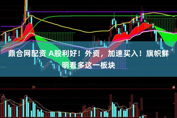 鼎合网配资 A股利好！外资，加速买入！旗帜鲜明看多这一板块
