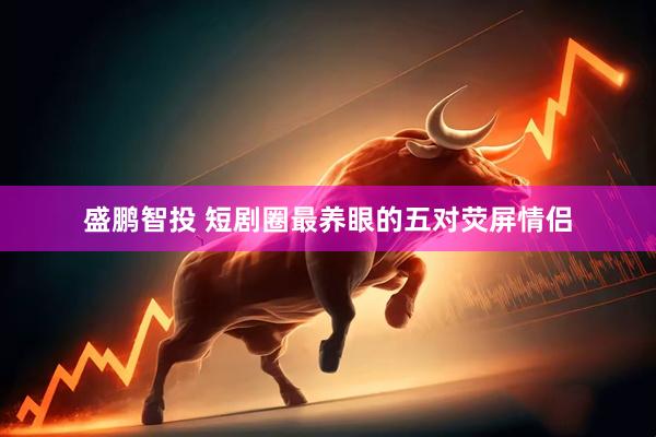 盛鹏智投 短剧圈最养眼的五对荧屏情侣