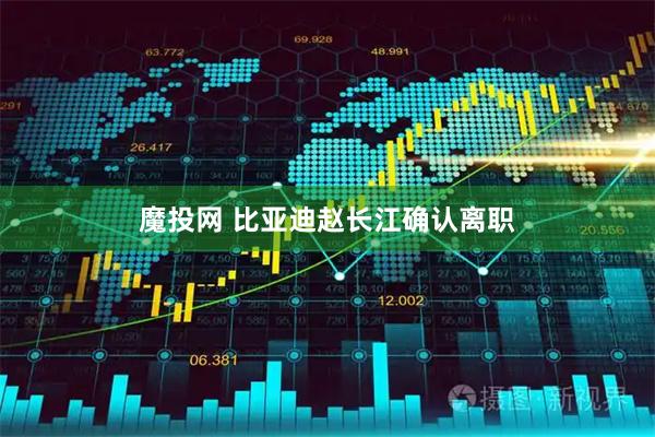 魔投网 比亚迪赵长江确认离职