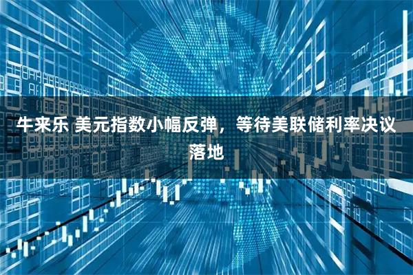 牛来乐 美元指数小幅反弹，等待美联储利率决议落地