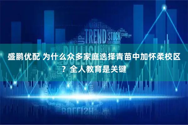 盛鹏优配 为什么众多家庭选择青苗中加怀柔校区？全人教育是关键