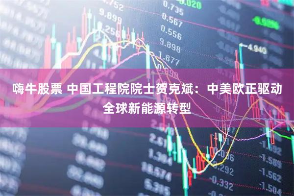 嗨牛股票 中国工程院院士贺克斌：中美欧正驱动全球新能源转型