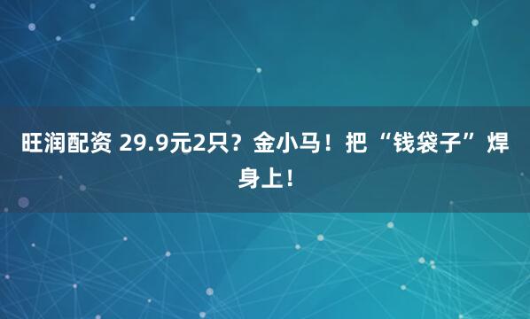 旺润配资 29.9元2只？金小马！把 “钱袋子” 焊身上！